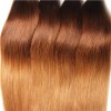 HJ Beauty Straight Human Hair 3 Bundles