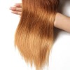 HJ Beauty Straight Human Hair 3 Bundles