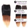 Straight Human Hair 3 Bundles with Lace Closure