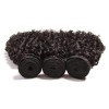 HJ Beauty Brazilian Virgin Curly Hair 3 Bundles With Closure Unprocessed Human Hair Extension