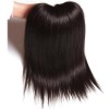 HJ Beauty 3 pcs Human Virgin Brazilian Hair Straight Bundles With Lace Closure