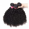 HJ Beauty Malaysian Curly Virgin Hair 4x4 Lace Closure With 3 bundles Human Hair Weft
