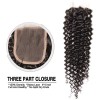 HJ Beauty Peruvian Virgin Curly Hair 1Pc Closure With 3 Bundles Of Curly Hair Weaves